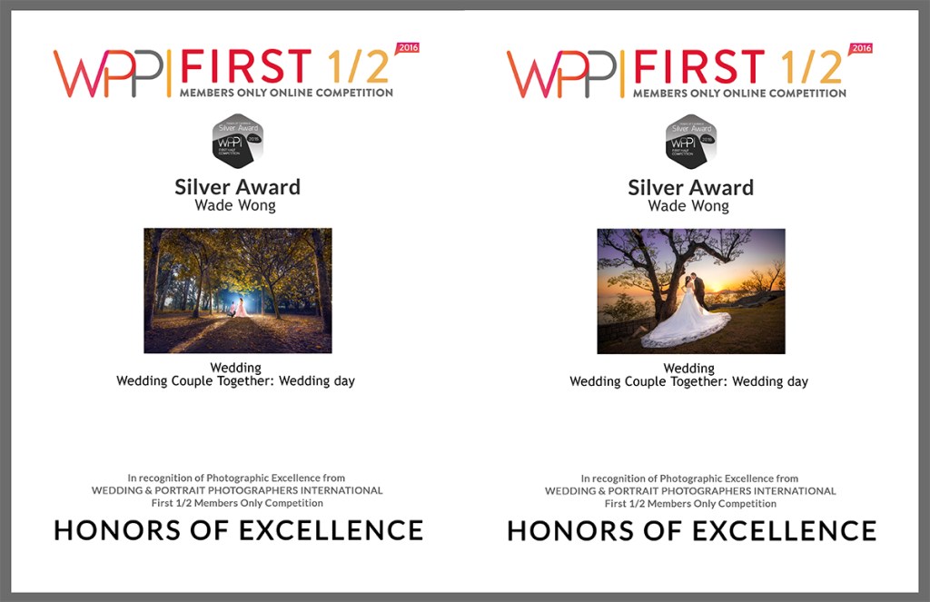 2 Awards from 1st half WPPI online&nbsp;competition