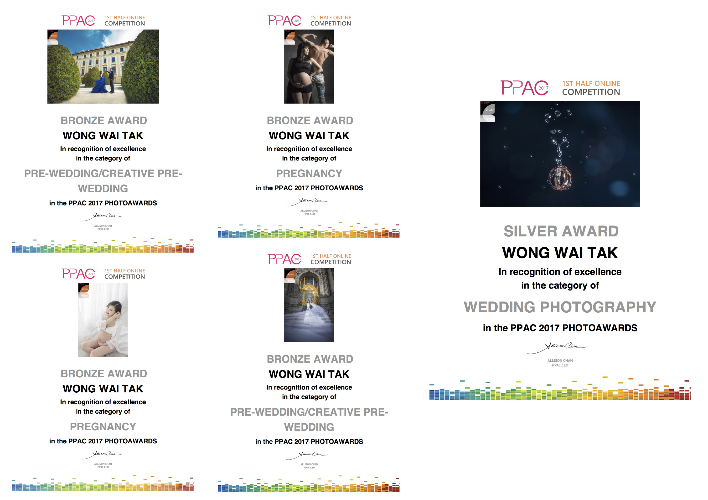 2017 PPAC 1st haf competition Award photo by wade w woook de w gallery top ten maternity portrait